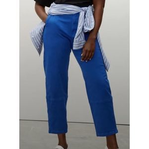 Everlane The Utility Barrel Pant in bleu de travail Size 2